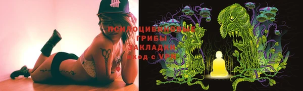 метадон Алексин