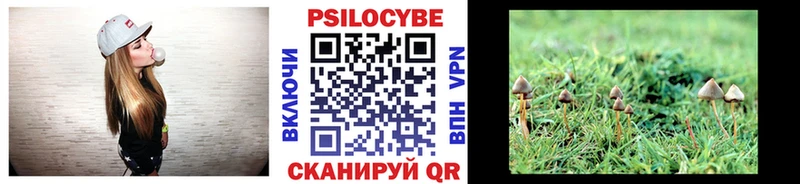 маркетплейс какой сайт  mega зеркало  Липки  Галлюциногенные грибы GOLDEN TEACHER 